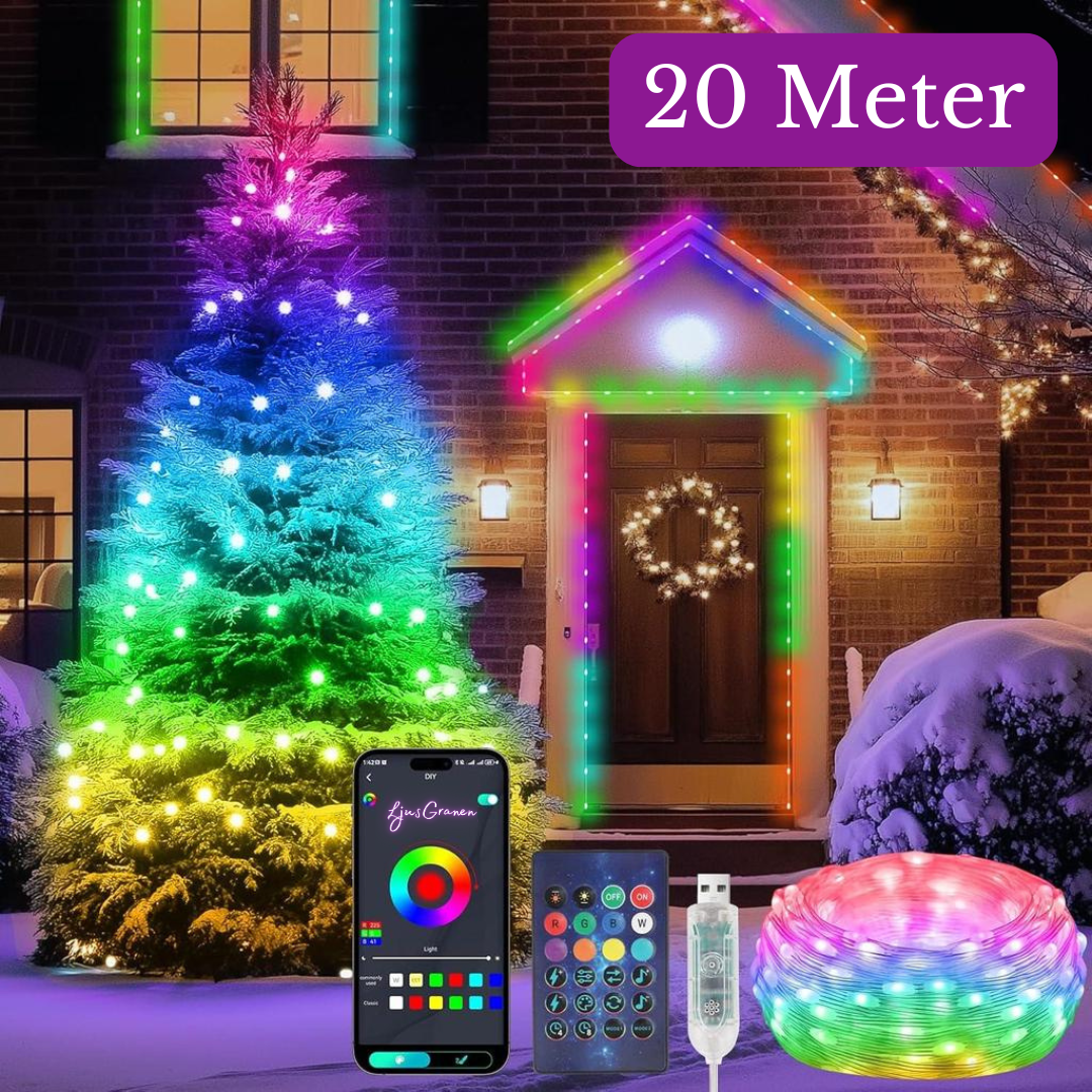 Kerstverlichting LEDs voor Binnen en Buiten