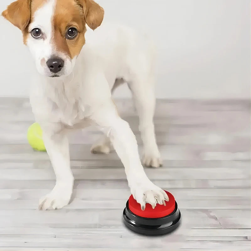 Hond Communicatie Knoppen voor Duidelijke Gesprekken