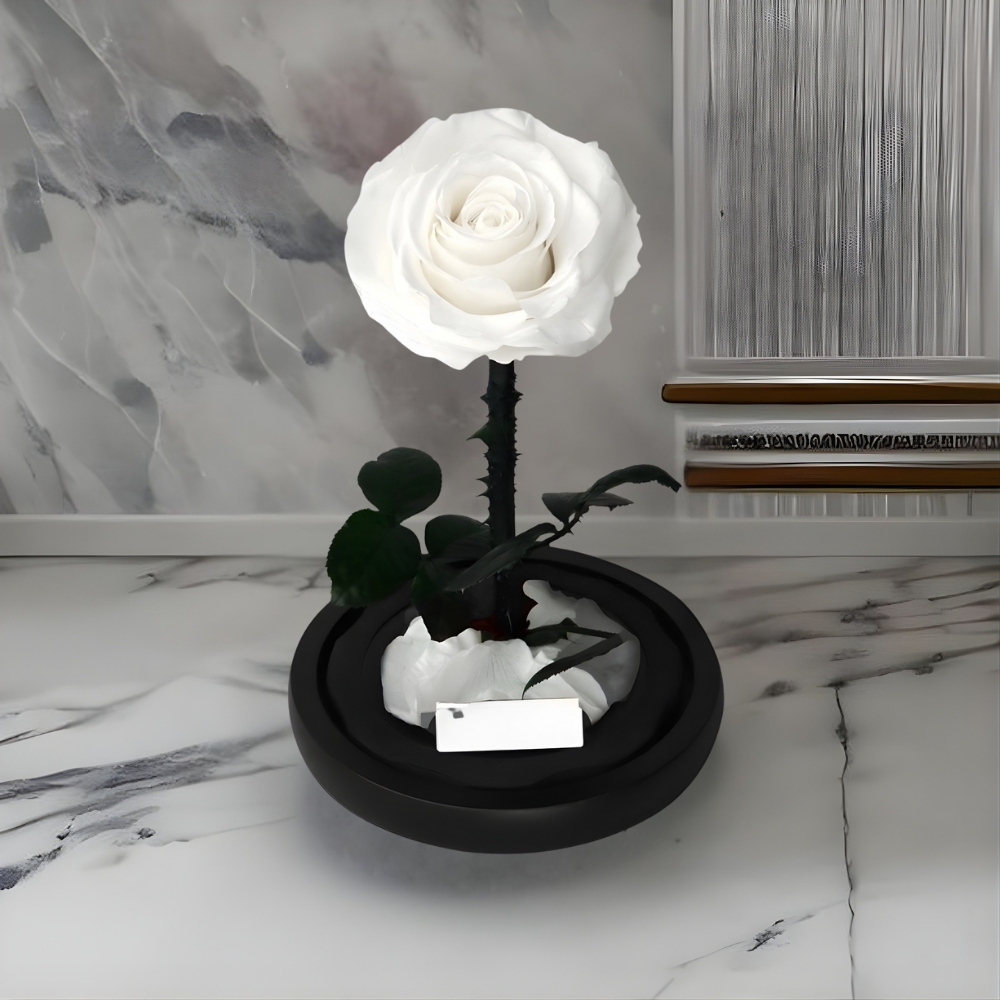 Romantische Glazen Stolp voor Rozen, Langhoudend Cadeau