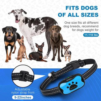 Halsband Anti Blaffen voor Honden Traineren