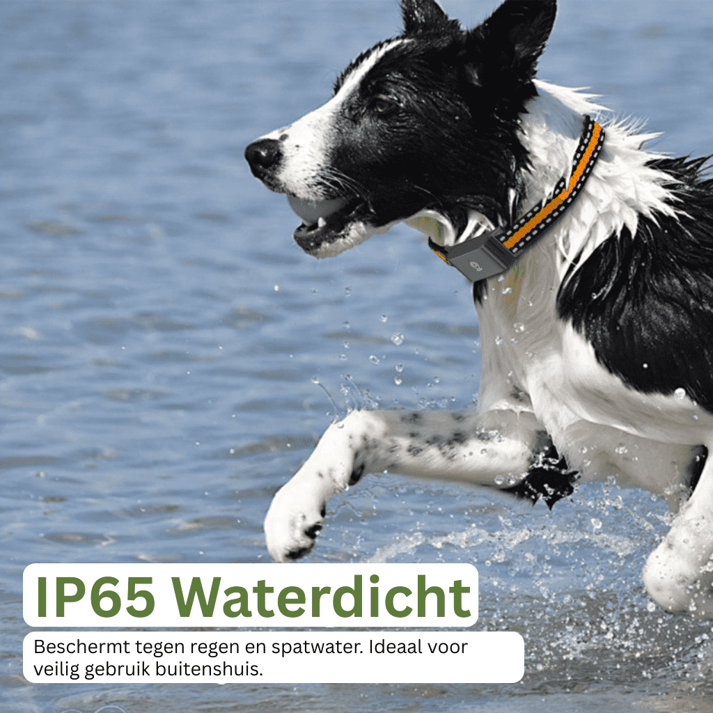 Velinix™ – GPS Halsband Hond Zonder Abonnement met Licht & Realtime Tracking