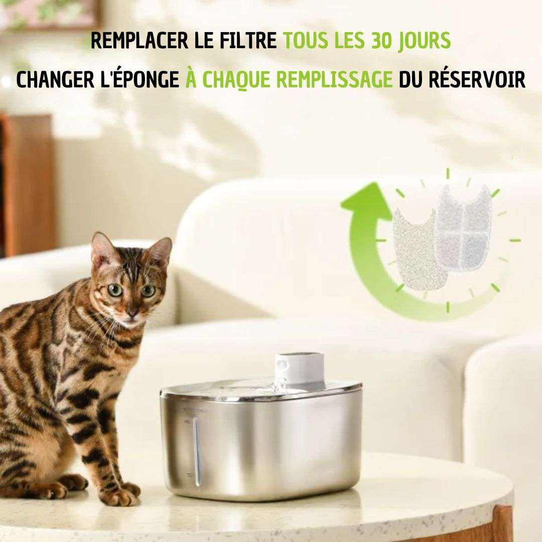 Marcherelle™ – 4L draadloze kattenwaterfontein, batterij met lange levensduur 7