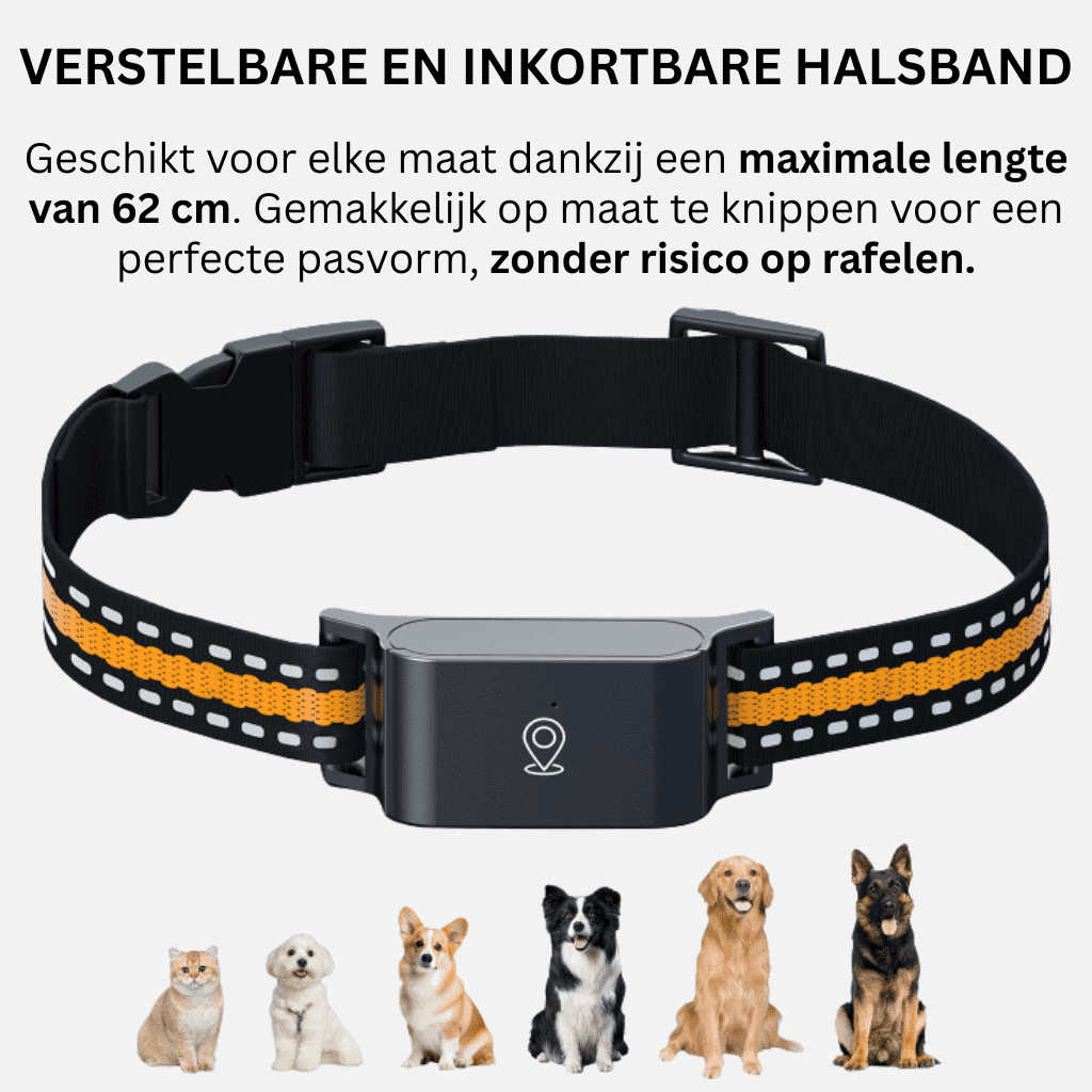 PawSecure™ – GPS Halsband Kat Zonder Abonnement, Nauwkeurige & Onbeperkte Tracking
