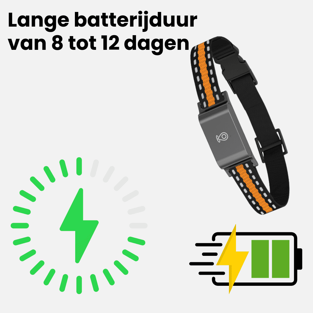 PawSecure™ – GPS Halsband Kat Zonder Abonnement, Nauwkeurige & Onbeperkte Tracking