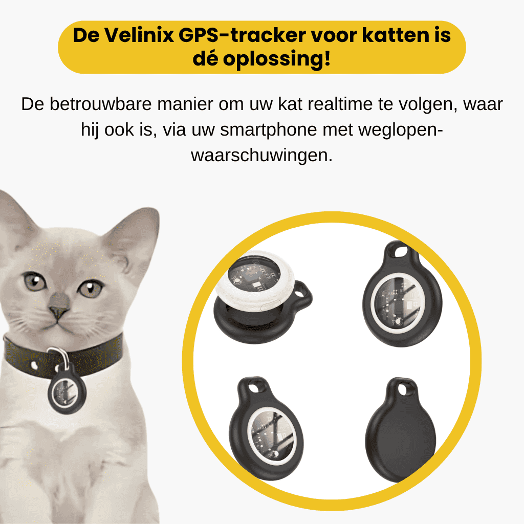 PawTrace™ – GPS Tracker Kat Zonder Abonnement & Realtime Locatie