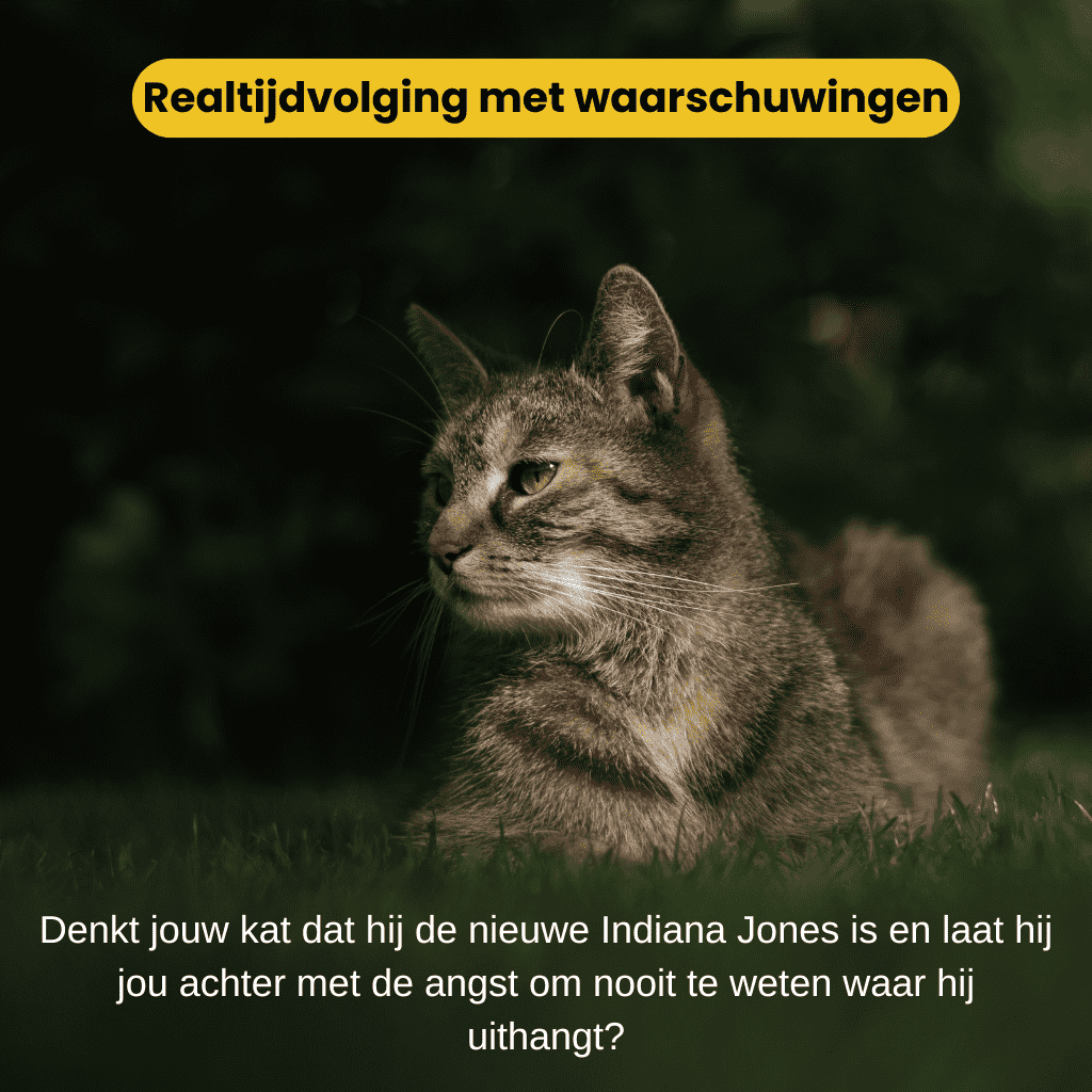 PurrLocate™ – GPS Tracker Kat Zonder Abonnement met Realtime Locatie & Veiligheidszone