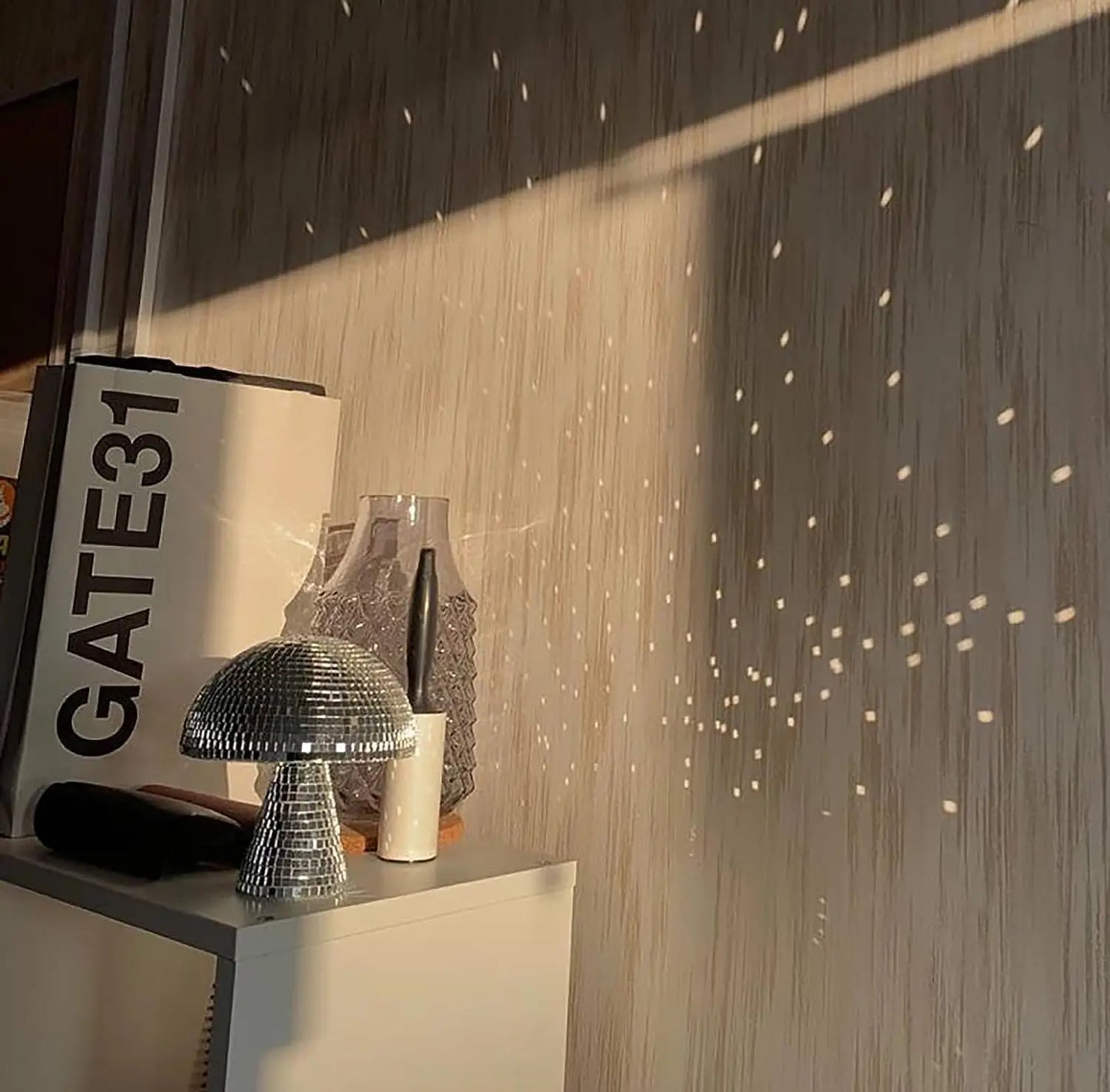 Disco Bal Paddenstoel LED Licht Decoratie