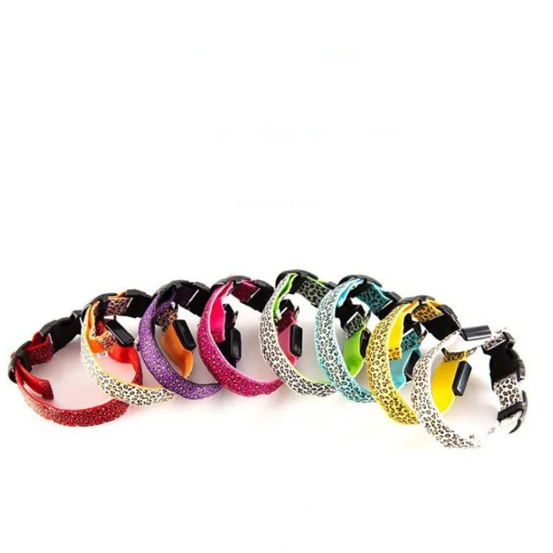 LED Hondenhalsband Reflecterend en Zichtbaar 's Nachts