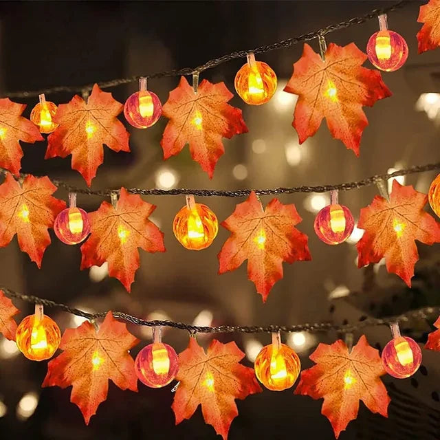 LED-lampjes Energiezuinig voor Gezellige Sfeer