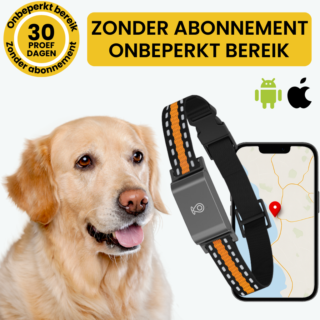 Velinix™ – GPS Halsband Hond Zonder Abonnement met Licht & Realtime Tracking