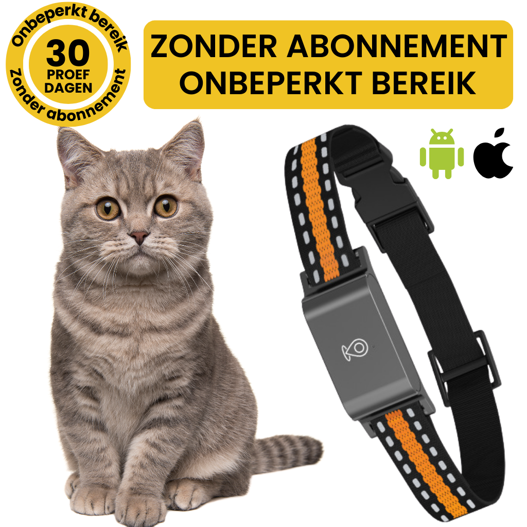 Velinix™ – GPS Halsband Kat Zonder Abonnement, Nauwkeurige & Onbeperkte Tracking