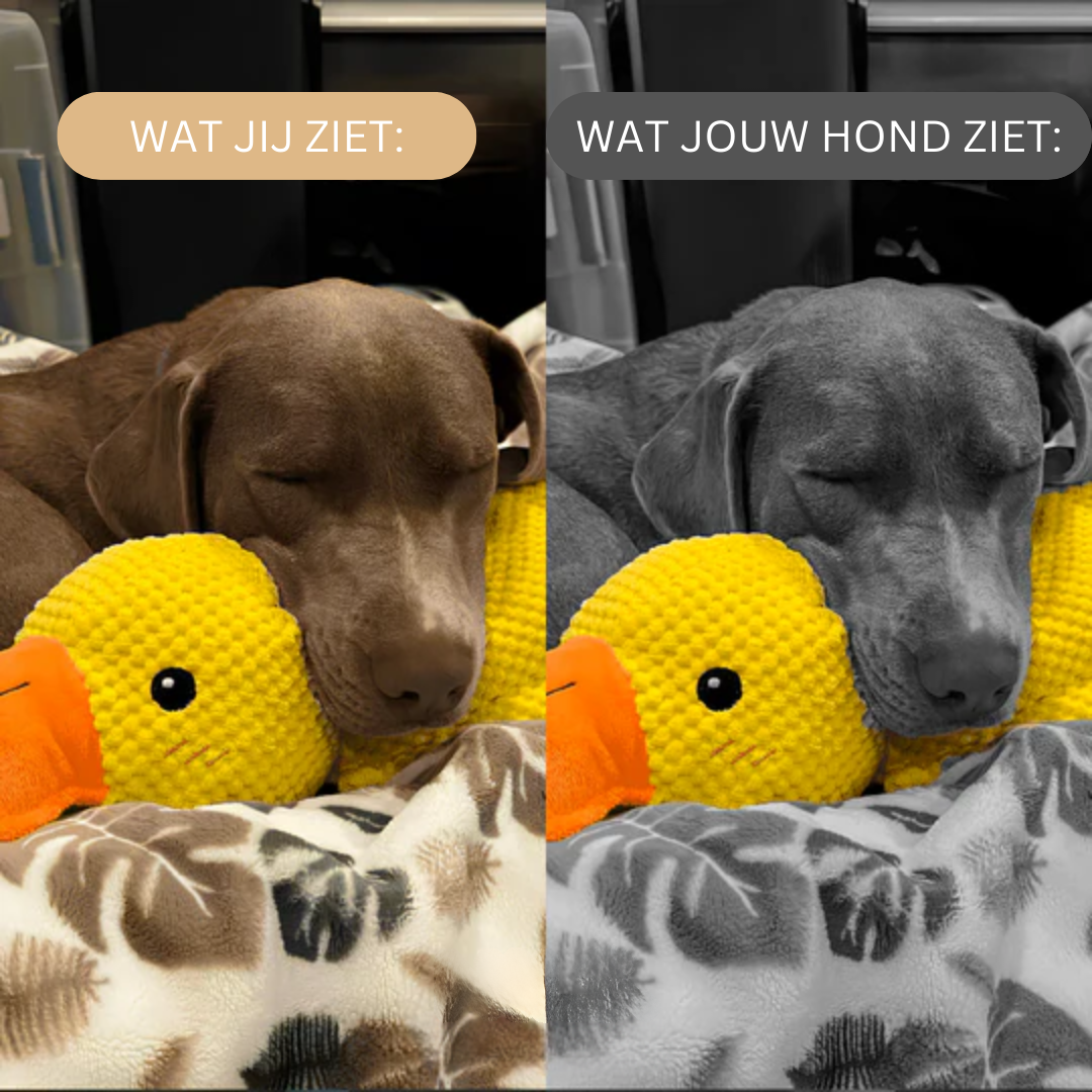 Eend Kalmerend Speelgoed voor Honden Rust