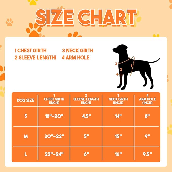 Honden Sportoutfit Met Bal Voor Actieve Honden