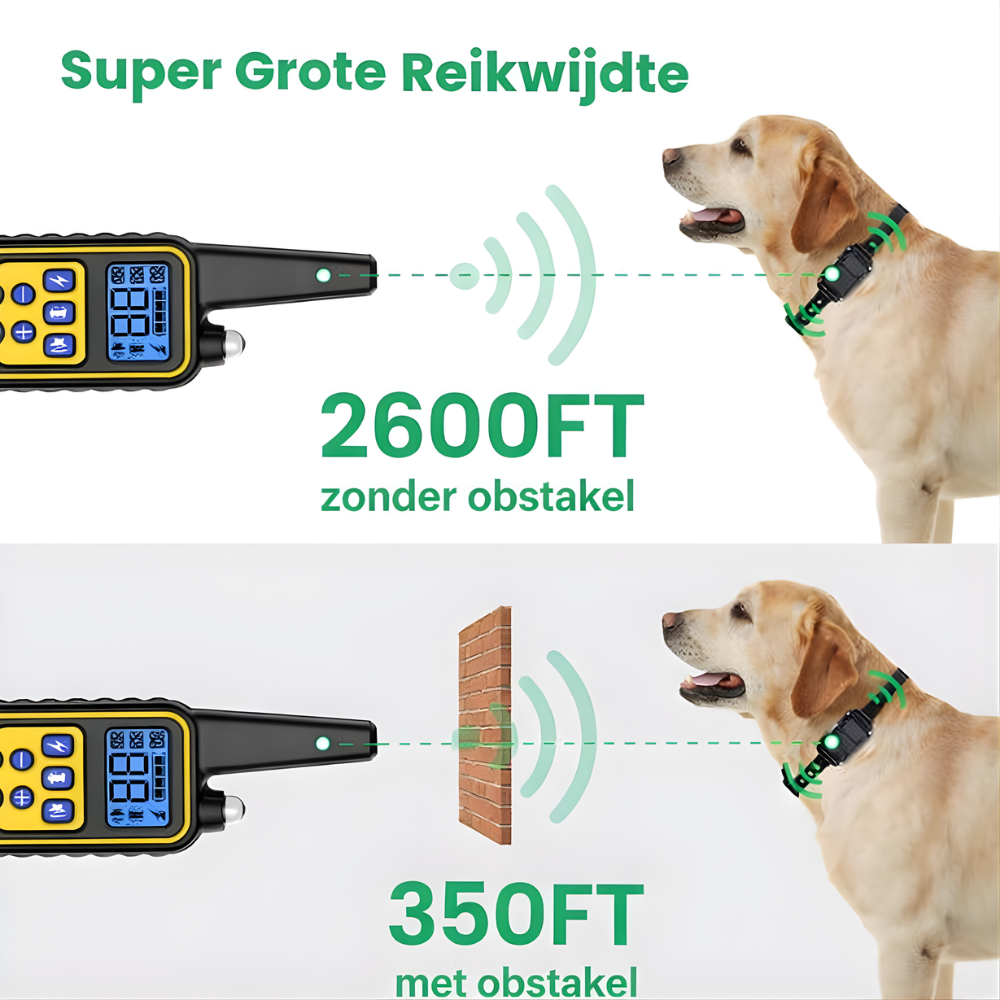 Hondentrainingshalsband Waterdicht Afstandsbediening Oplaadbaar