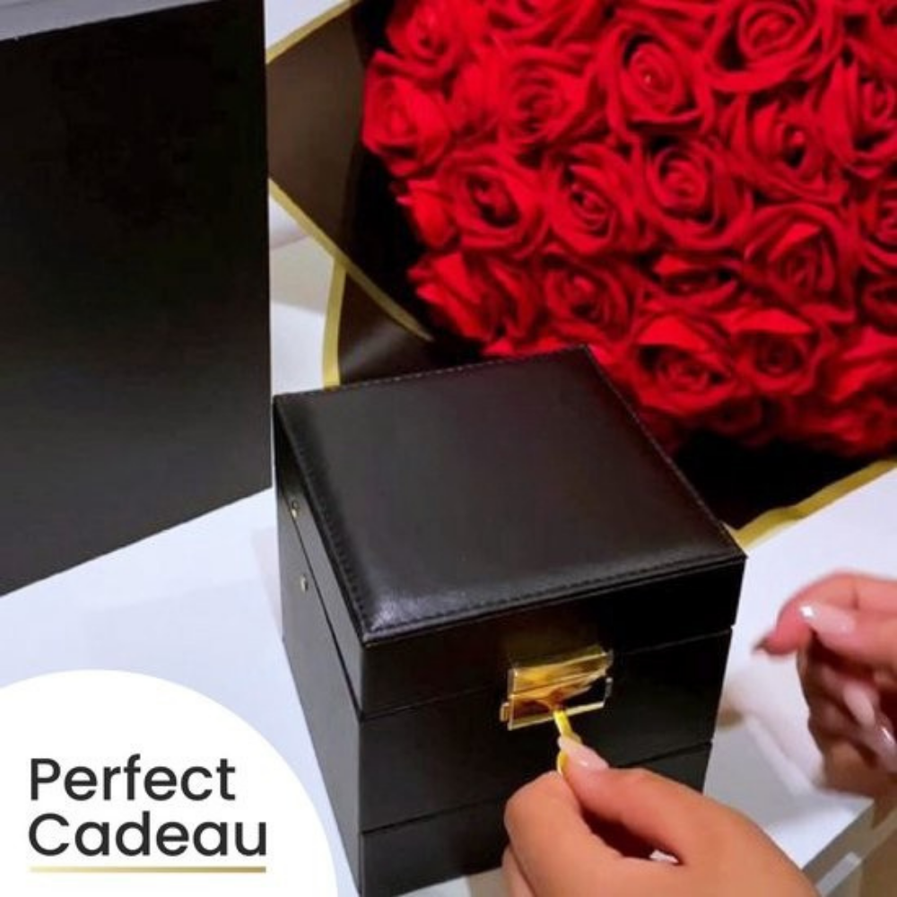 Valentijnsdag Sieradendoos met Eeuwige Roos Ketting