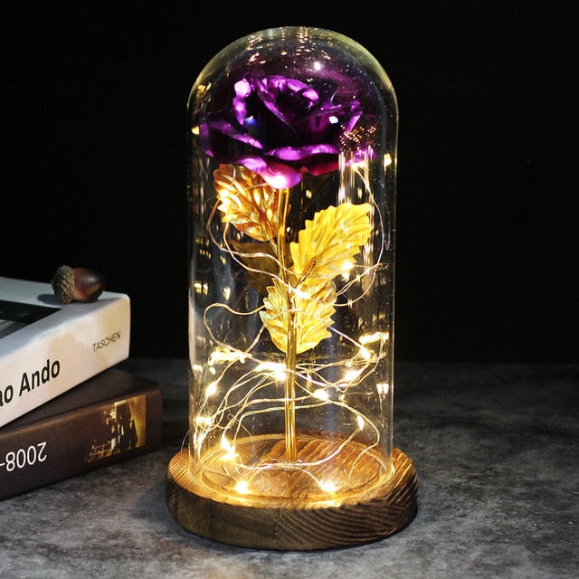 LED Rose Lamp Dimbaar voor Sier en Verlichting