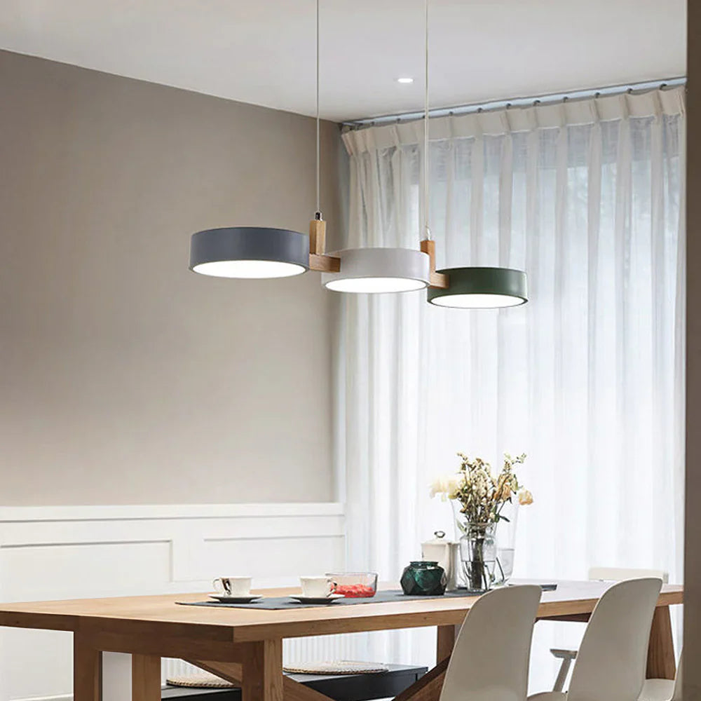 Nordic Plafondlamp Metalen Led Dimbaar Design