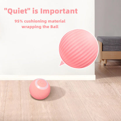 Interactieve Katten Speelgoedset voor Natuurlijk Gedrag