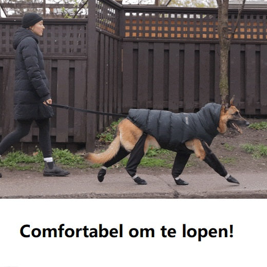 Waterdichte Hondenlaarzen voor Sneeuw en Wandelen