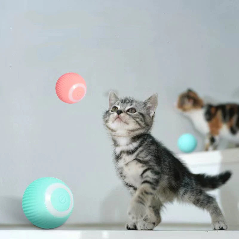 Interactieve Katten Speelgoedset voor Natuurlijk Gedrag