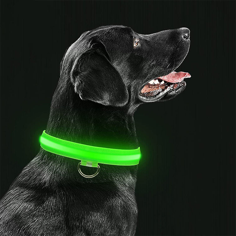 Dierenhalsband met LED-licht Oplaadbaar en Waterbestendig