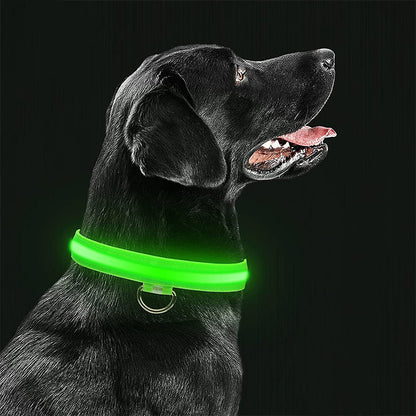 Dierenhalsband met LED-licht Oplaadbaar en Waterbestendig