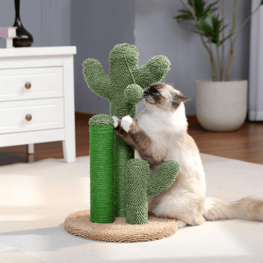 Cactus Pot voor Katten en Honden - Velinix