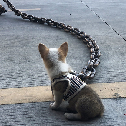 Grote Hondenriem Grappig Leren Halsband voor Honden