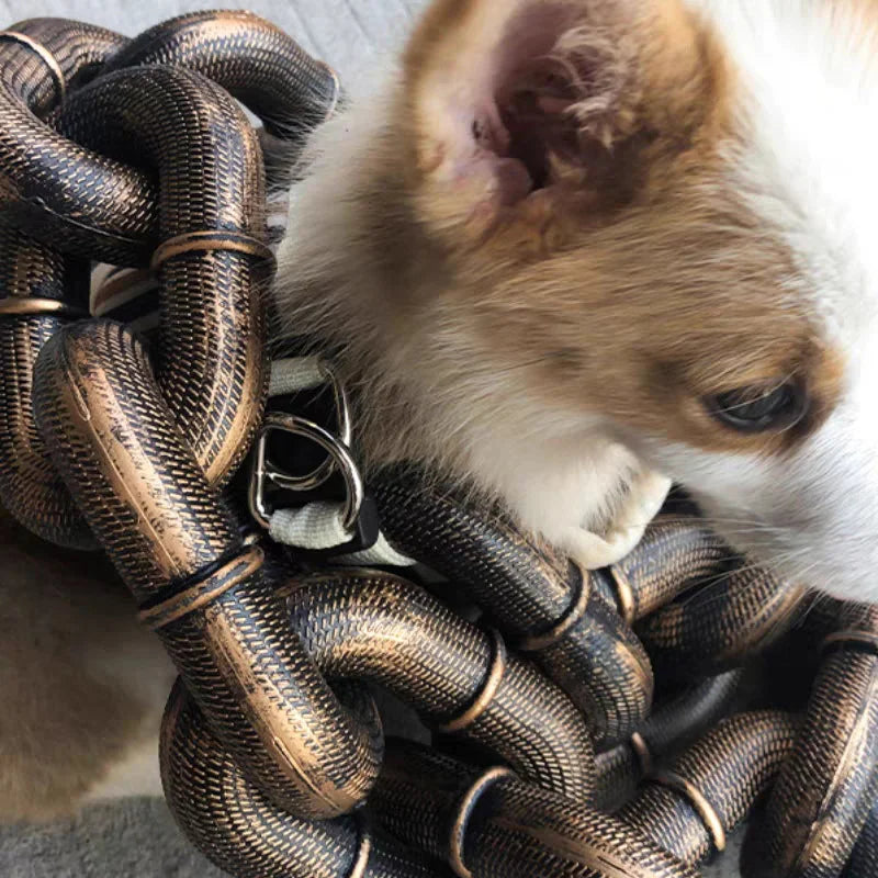 Grote Hondenriem Grappig Leren Halsband voor Honden