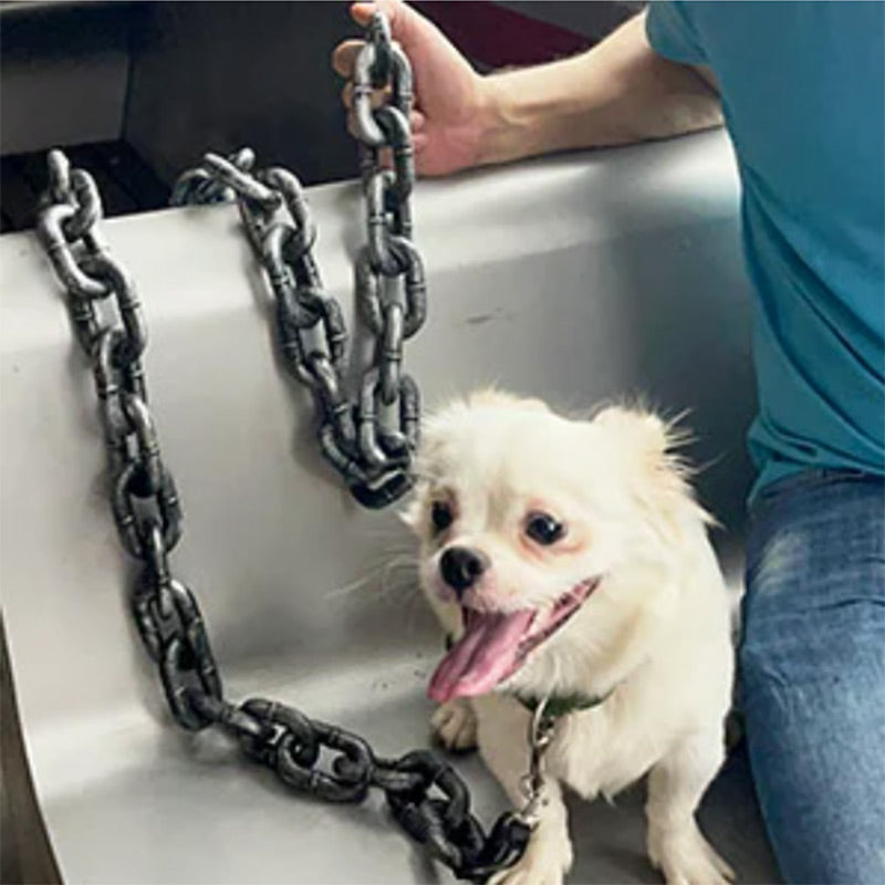 Grote Hondenriem Grappig Leren Halsband voor Honden