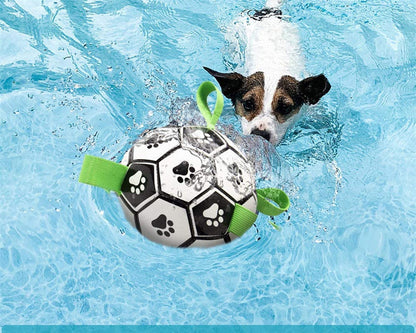 Luxe Honden Voetbal Duurzaam en Leuk