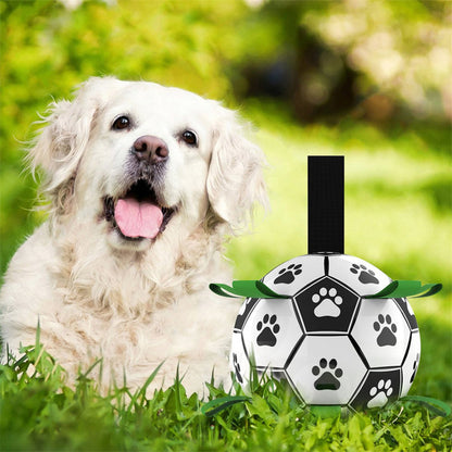 Luxe Honden Voetbal Duurzaam en Leuk