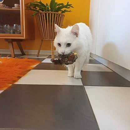Katten Speelkameraad Veilig Interactief voor Kattenvermaak