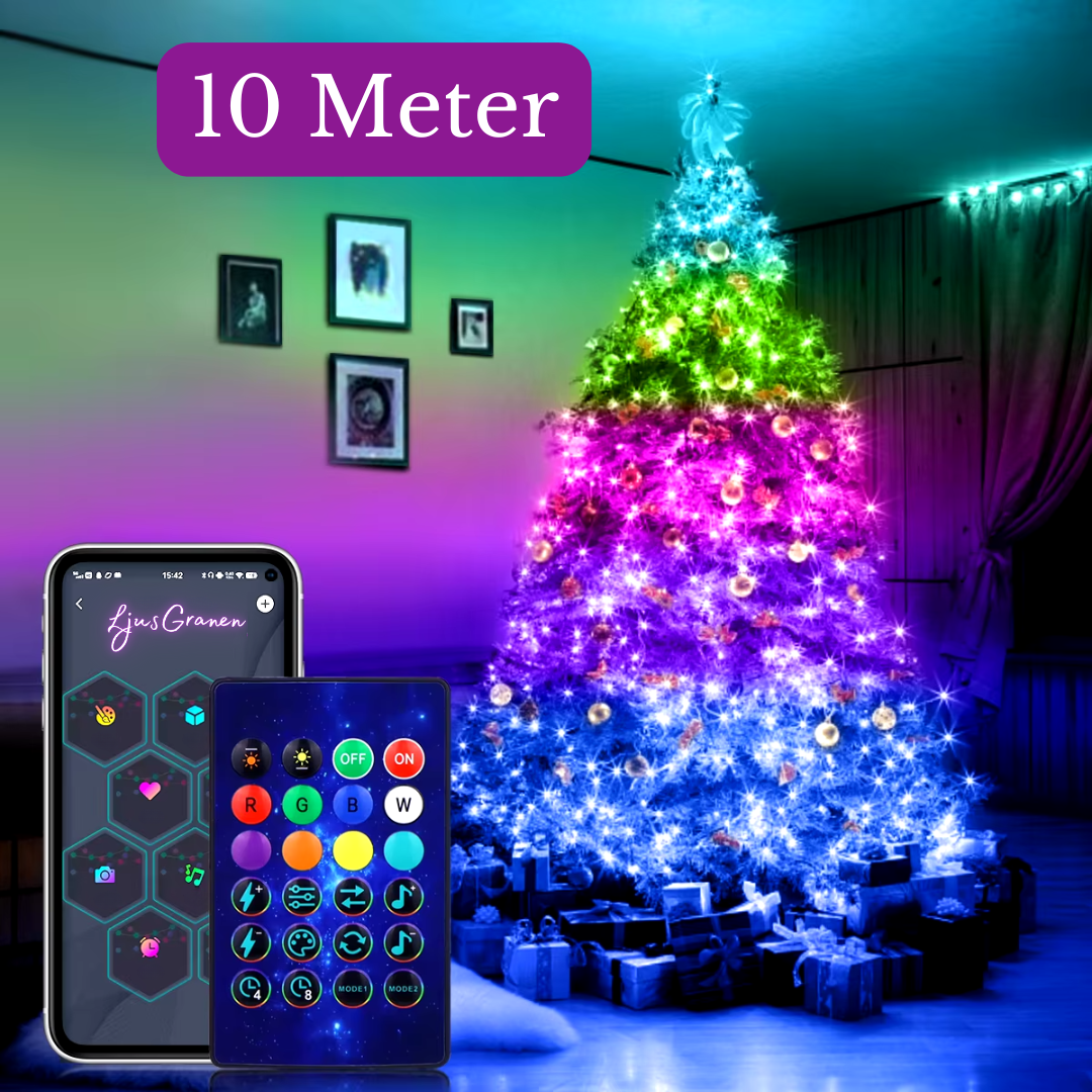 Kerstverlichting LEDs voor Binnen en Buiten