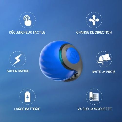 Interactieve Kat Speelbal Rollende Activiteit voor Katten