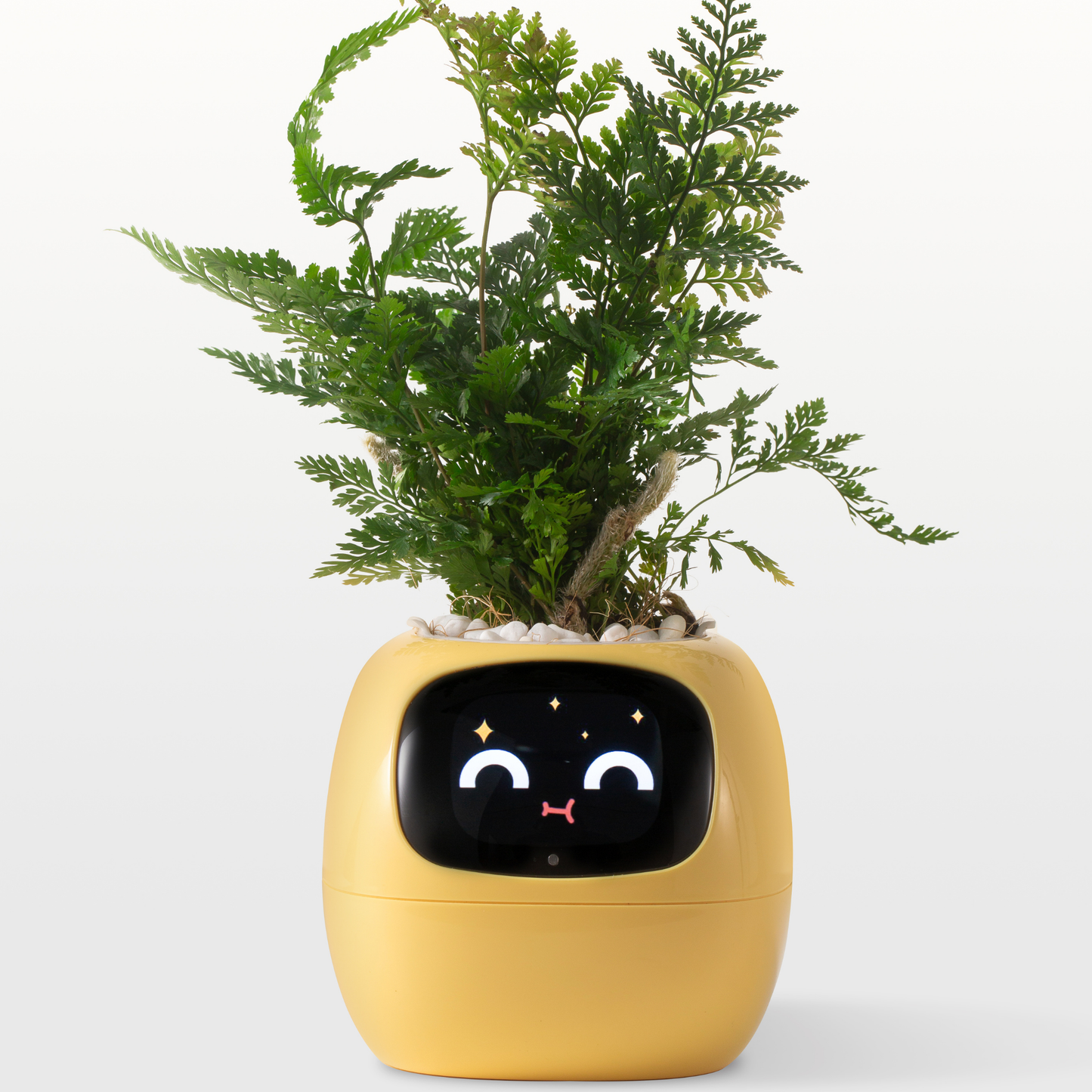 Emoji Bloempot Kleurrijk Creatief Decoratie