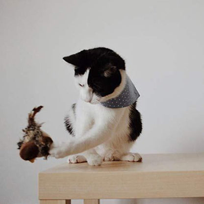 Katten Speelkameraad Veilig Interactief voor Kattenvermaak