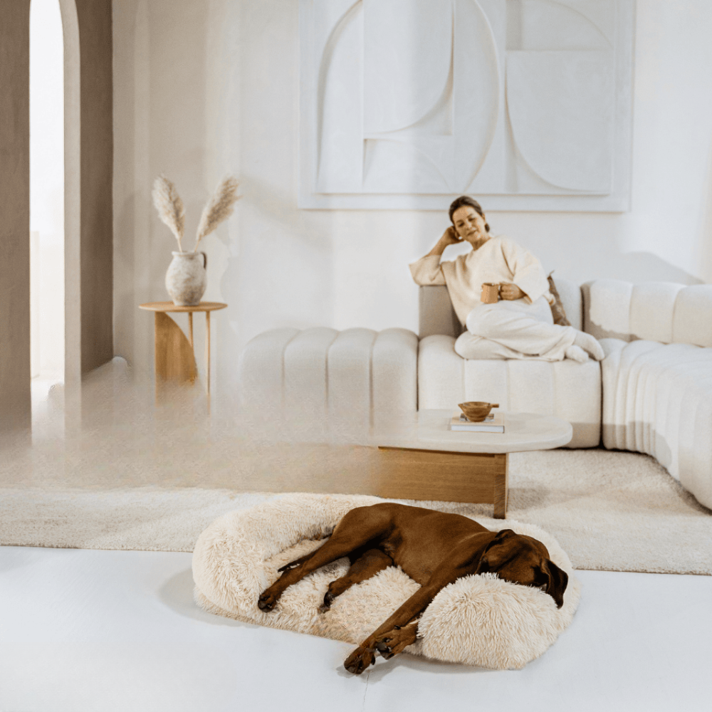 Orthopedisch Hondenbed Extra Ondersteuning voor Honden