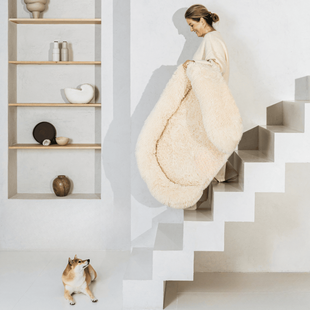 Orthopedisch Hondenbed Extra Ondersteuning voor Honden - Velinix
