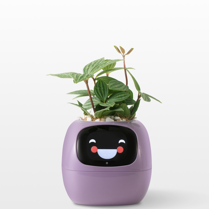 Emoji Bloempot Kleurrijk Creatief Decoratie