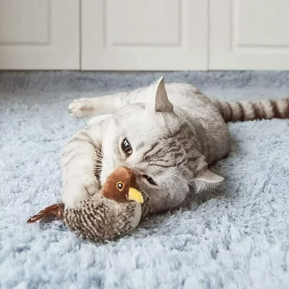 Katten Speelkameraad Veilig Interactief voor Kattenvermaak
