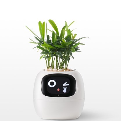 Emoji Bloempot Kleurrijk Creatief Decoratie