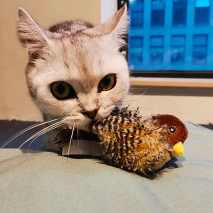 Katten Speelkameraad Veilig Interactief voor Kattenvermaak