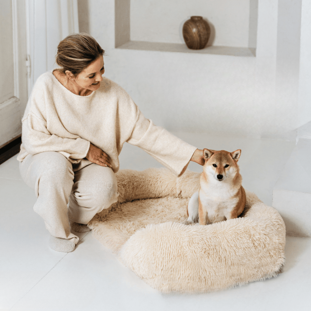 Orthopedisch Hondenbed Extra Ondersteuning voor Honden