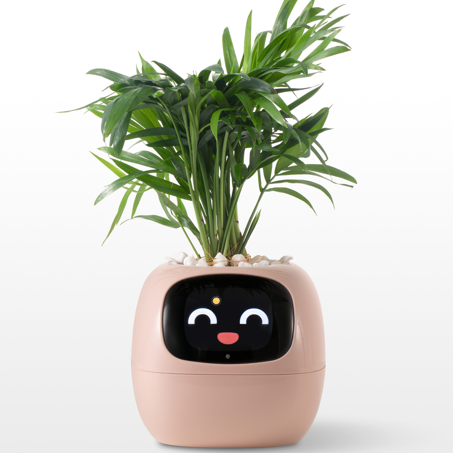Emoji Bloempot Kleurrijk Creatief Decoratie