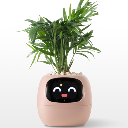 Emoji Bloempot Kleurrijk Creatief Decoratie