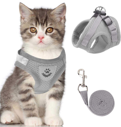 Reflecterende Kat Harnas Set met Leash en Verstelbare Bandjes voor Nachtelijke Wandelingen