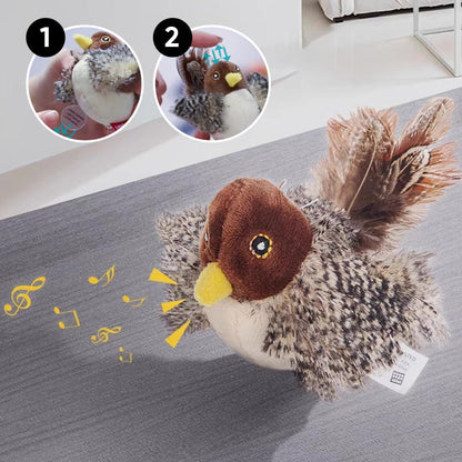 Katten Speelkameraad Veilig Interactief voor Kattenvermaak