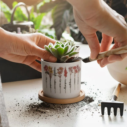 Keramische Cactuspot met Drainage Gepersonaliseerd Binnengebruik