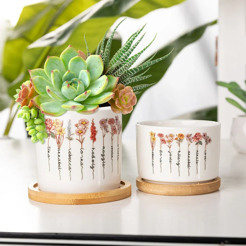 Keramische Cactuspot met Drainage Gepersonaliseerd Binnengebruik